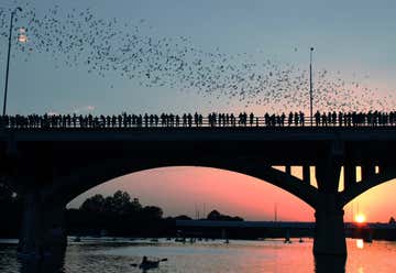 Photo of Bats Under the Congress Avenue Bridge