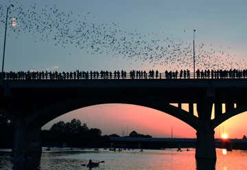 Photo of Congress Avenue Bridge / Austin Bats