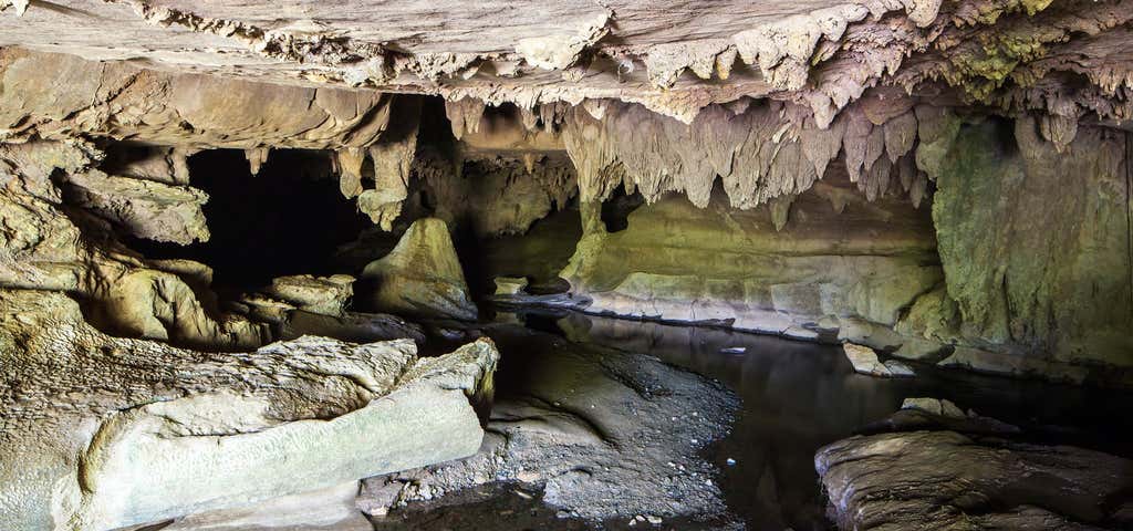 Photo of Waipu Caves