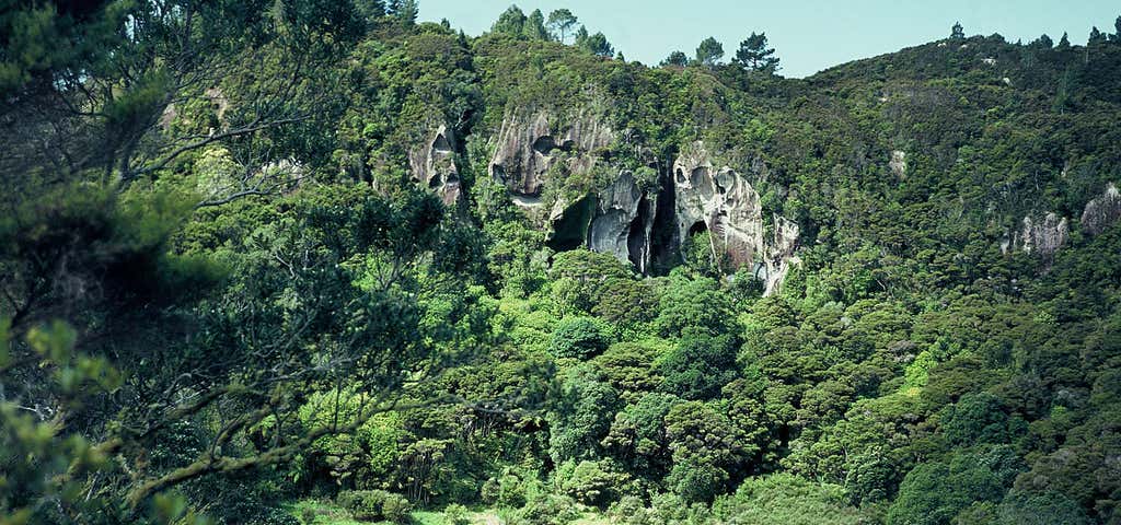 Photo of Whitianga Rock Walk