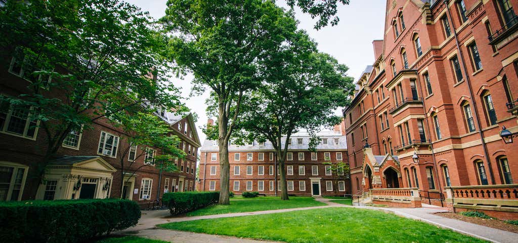 Photo of Harvard Yard