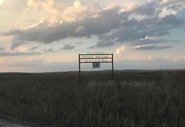 Photo of Tallgrass Prairie Preserve