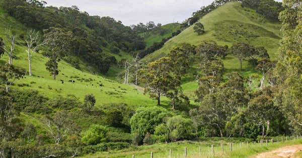 Heysen Trail, South Australia | Roadtrippers