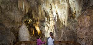 Aranui Caves - Waitomo