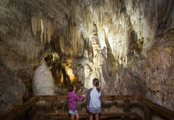 Photo of Aranui Caves - Waitomo