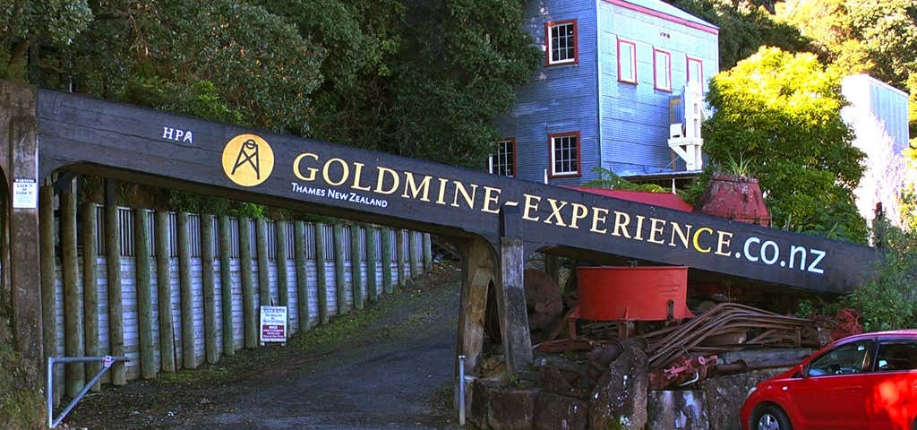 Photo of Goldmine Experience