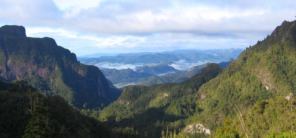 Photo of Kauaeranga Kauri Trail