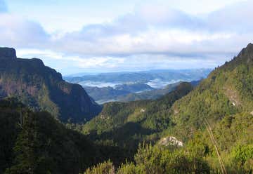 Photo of Kauaeranga Kauri Trail