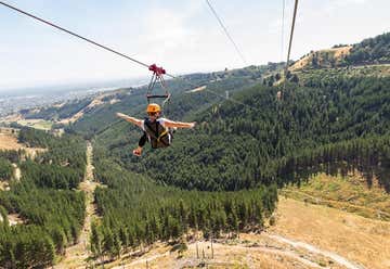 Photo of Christchurch Adventure Park