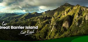 Go Great Barrier Island - Day Tours