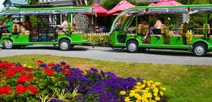 Christchurch Botanic Gardens Tours