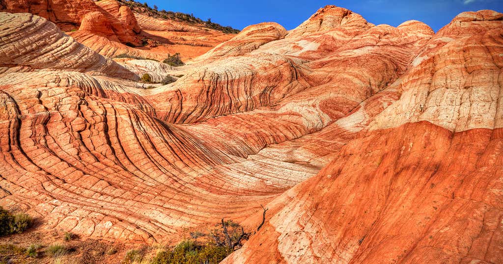 Yant Flat, Utah | Roadtrippers