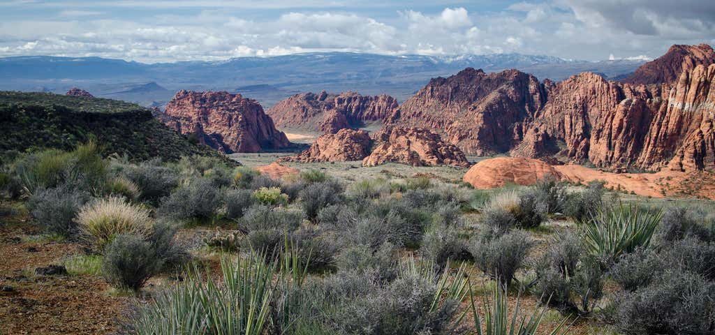 Photo of Red Cliffs Desert Reserve