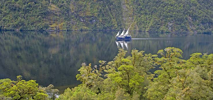 Photo of Real Journeys Doubtful Sound