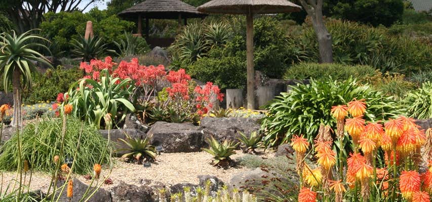 Photo of Auckland Botanic Gardens