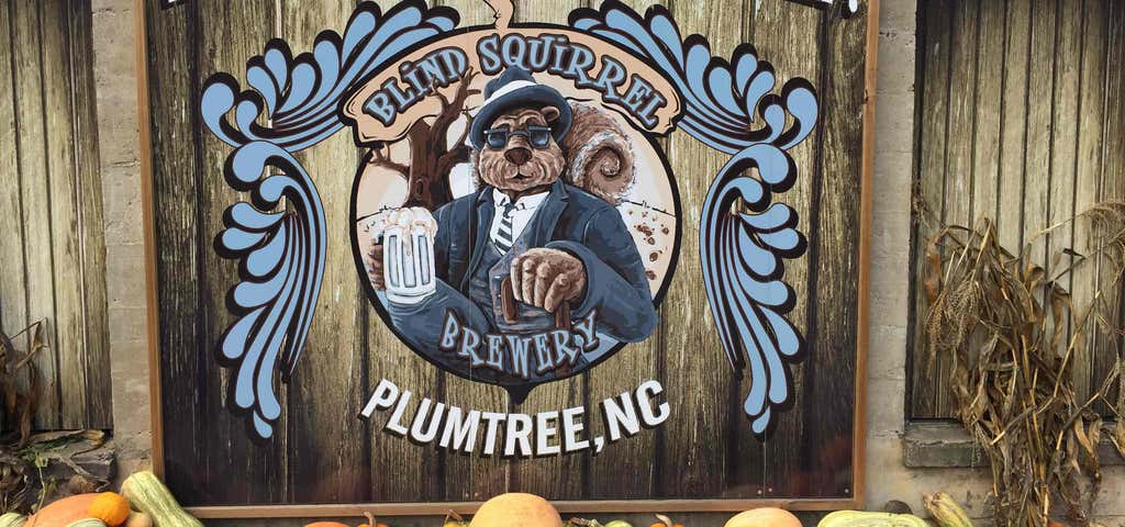 Photo of Blind Squirrel Brewery