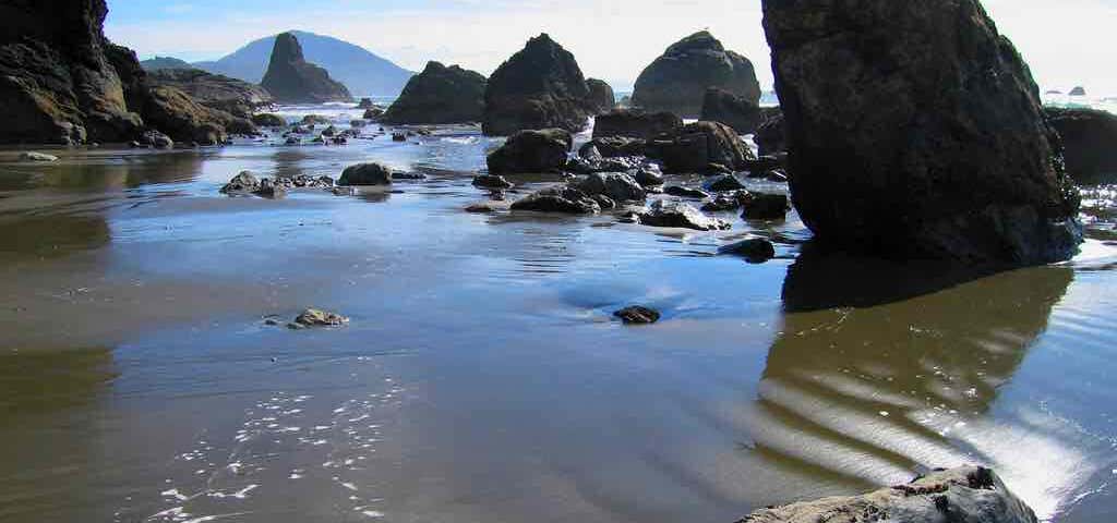Photo of Battle Rock Beach   Port Orford, Or
