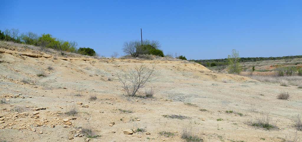Photo of Mineral Wells Fossil Park