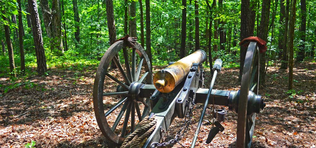 Photo of Pickett's Mill Battlefield