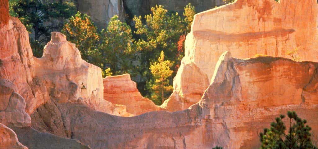 Photo of Providence Canyon State Park