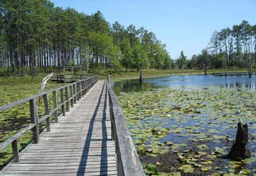 Photo of Seminole State Park
