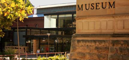 Photo of South Australian Museum