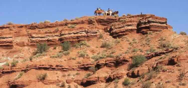 Photo of Zion Canyon Trl Rides Jacob's Ranch