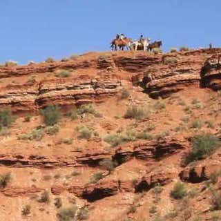 Zion Canyon Trl Rides Jacob's Ranch
