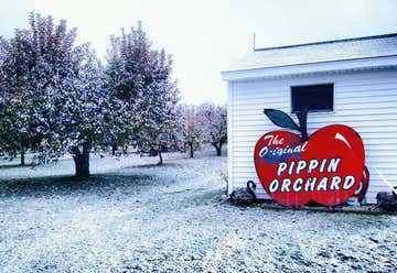 Photo of Pippin Apple Orchard