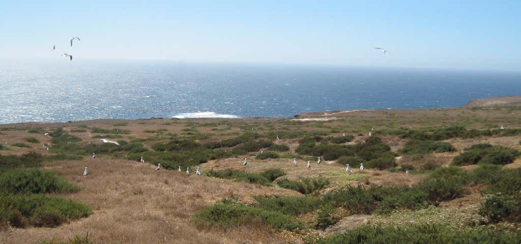 Photo of Santa Barbara Island