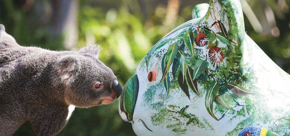 Photo of Hello Koalas Sculpture Trail