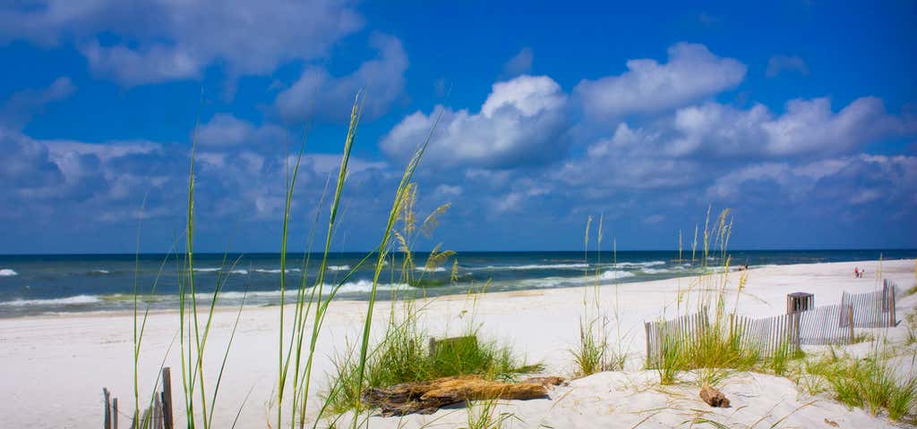 Photo of Gulf Shores Public Beach