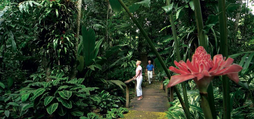 Photo of Cairns Botanical Gardens