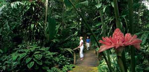 Cairns Botanical Gardens