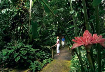 Photo of Cairns Botanic Gardens