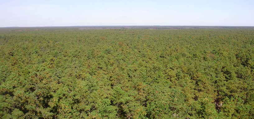 Photo of New Jersey Pinelands National Reserve