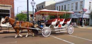 Southern Carriage Tours
