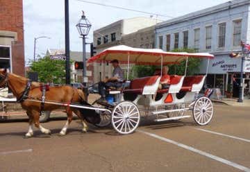 Photo of Southern Carriage Tours