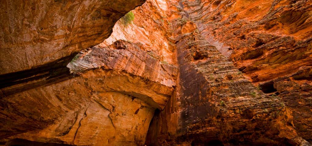 Photo of Cathedral Gorge, Purnululu National Park