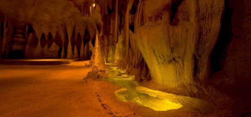 Photo of Tamborine Mountain Glow Worm Caves