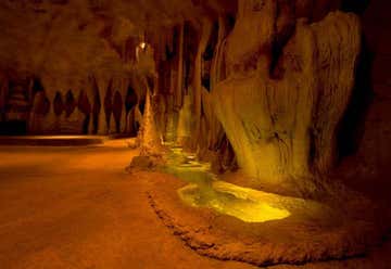 Photo of Tamborine Mountain Glow Worm Caves