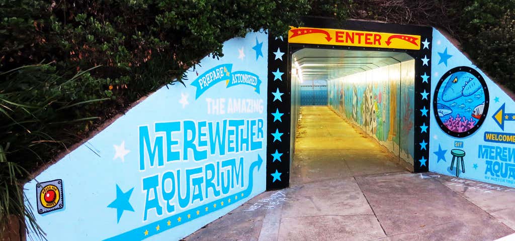 Photo of Merewether Aquarium