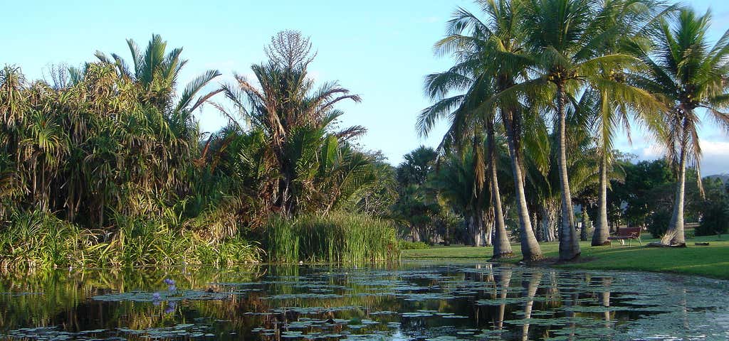 Photo of Townsville Palmetum