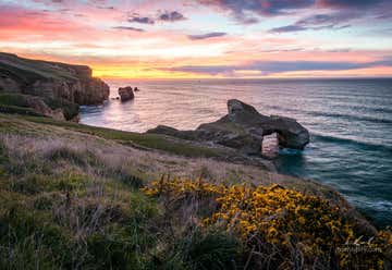 Photo of Tunnel Beach Dunedin