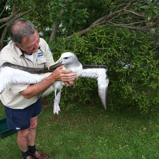Whangarei Native Bird Recovery Centre