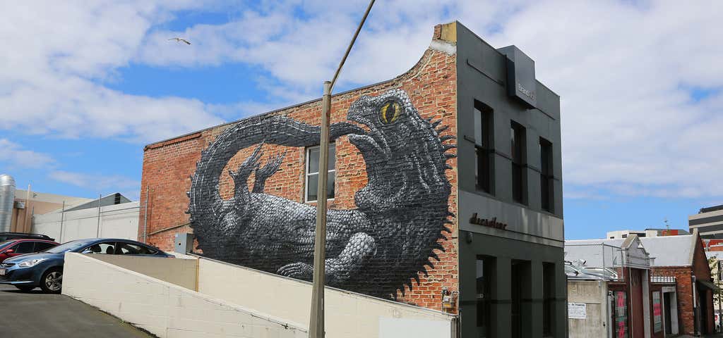 Photo of Dunedin Street Art Trail