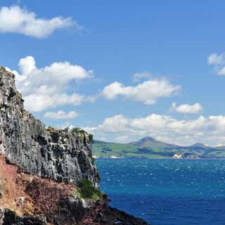 Taiaroa Head