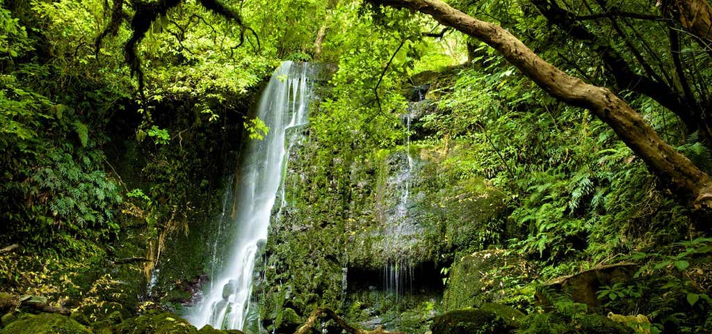 Photo of Matai Falls and Horseshoe Falls