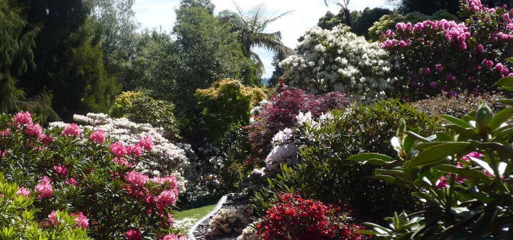 Photo of Waipahihi Botanical Reserve