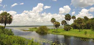 Myakka River State Park Campground